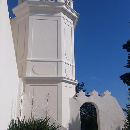Villa-Chateau Les Terrasses - Tamaris, Plage Des Sablettes, Mer Au Bas De La Propriete Ла-Сейн-сюр-Мер Екстер'єр фото