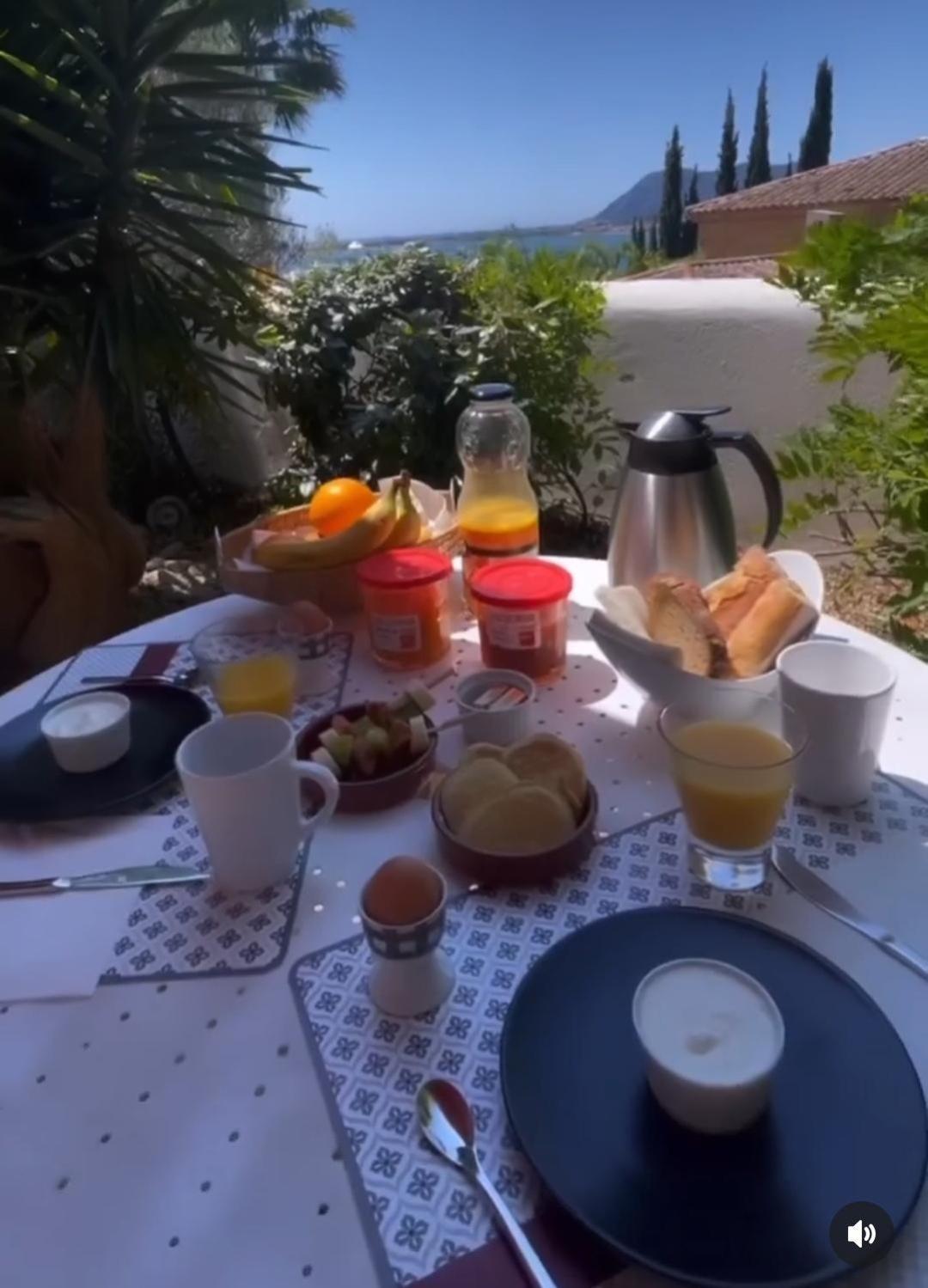 Villa-Chateau Les Terrasses - Tamaris, Plage Des Sablettes, Mer Au Bas De La Propriete Ла-Сейн-сюр-Мер Екстер'єр фото