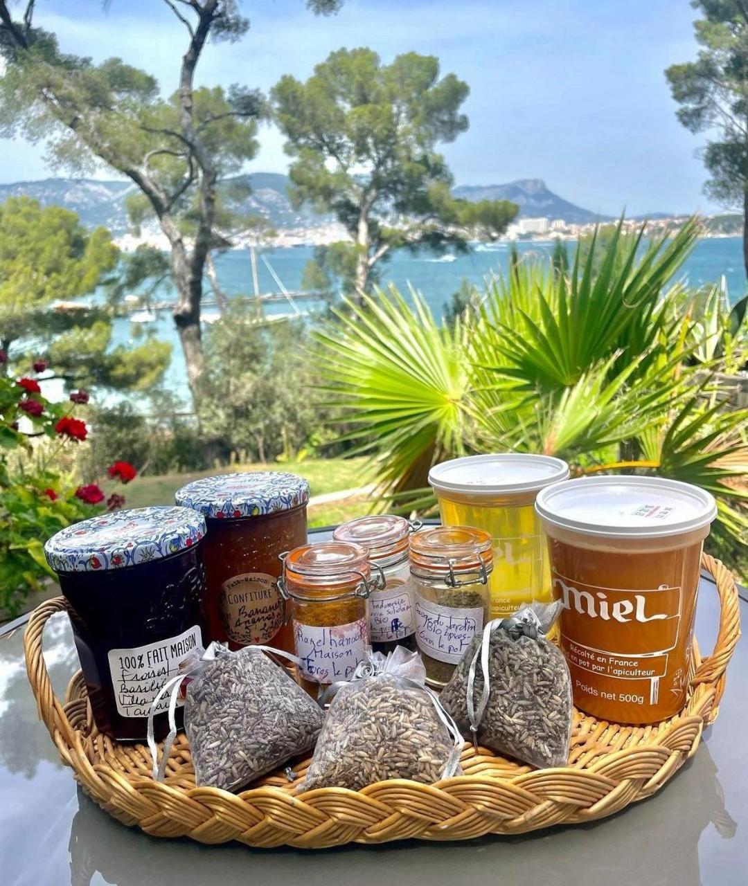 Villa-Chateau Les Terrasses - Tamaris, Plage Des Sablettes, Mer Au Bas De La Propriete Ла-Сейн-сюр-Мер Екстер'єр фото