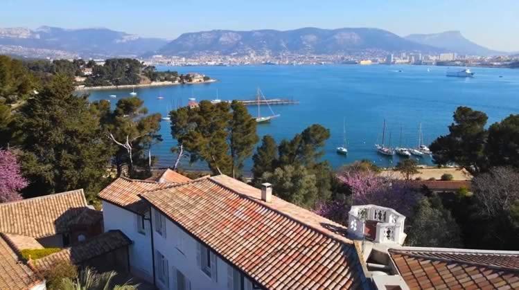 Villa-Chateau Les Terrasses - Tamaris, Plage Des Sablettes, Mer Au Bas De La Propriete Ла-Сейн-сюр-Мер Екстер'єр фото