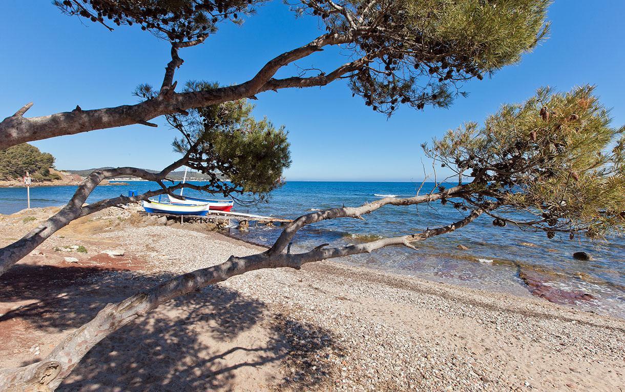 Villa-Chateau Les Terrasses - Tamaris, Plage Des Sablettes, Mer Au Bas De La Propriete Ла-Сейн-сюр-Мер Екстер'єр фото